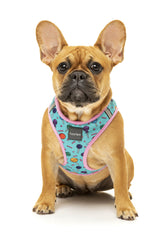 Hey Suckers! Step In Harness